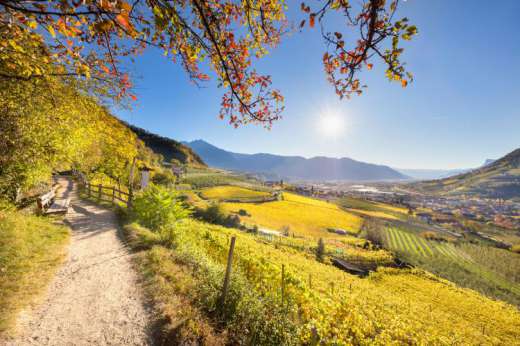 Wanderweg bei Algund