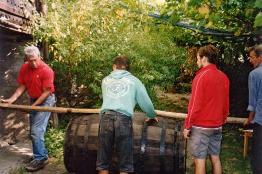 Vendemmia in Alto Adige