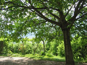 Parkplatz am Wildhof