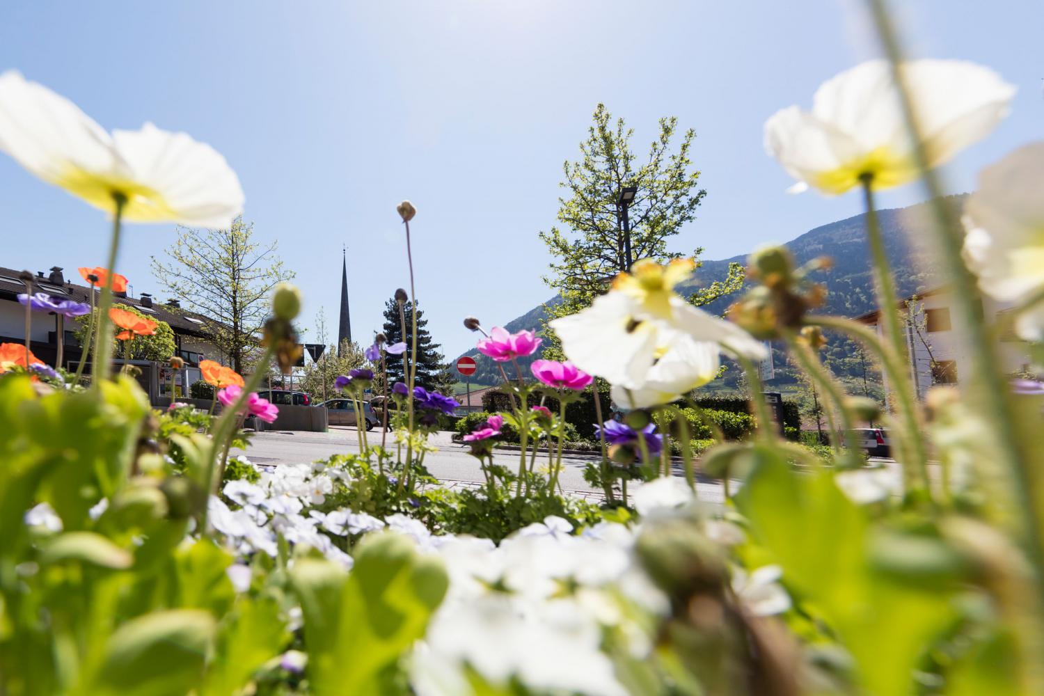 Algund, Südtirol