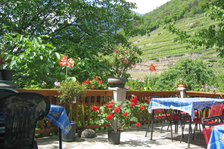 Terrasse am Wildhof